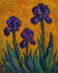 Purple Irises